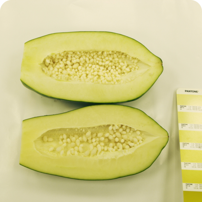 culinary-management info