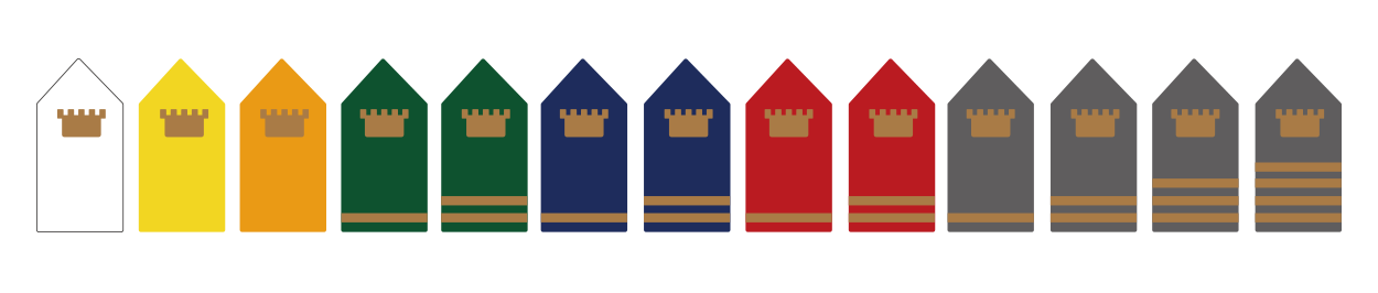 Culinary Training: Elevate Your Craft